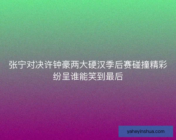 张宁对决许钟豪两大硬汉季后赛碰撞精彩纷呈谁能笑到最后