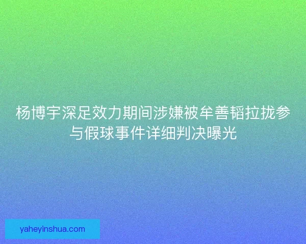 杨博宇深足效力期间涉嫌被牟善韬拉拢参与假球事件详细判决曝光
