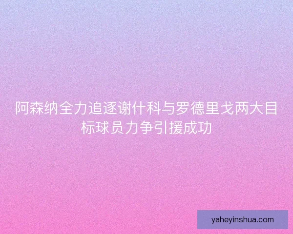 阿森纳全力追逐谢什科与罗德里戈两大目标球员力争引援成功